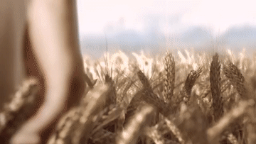 Energetisiere Dein Leben