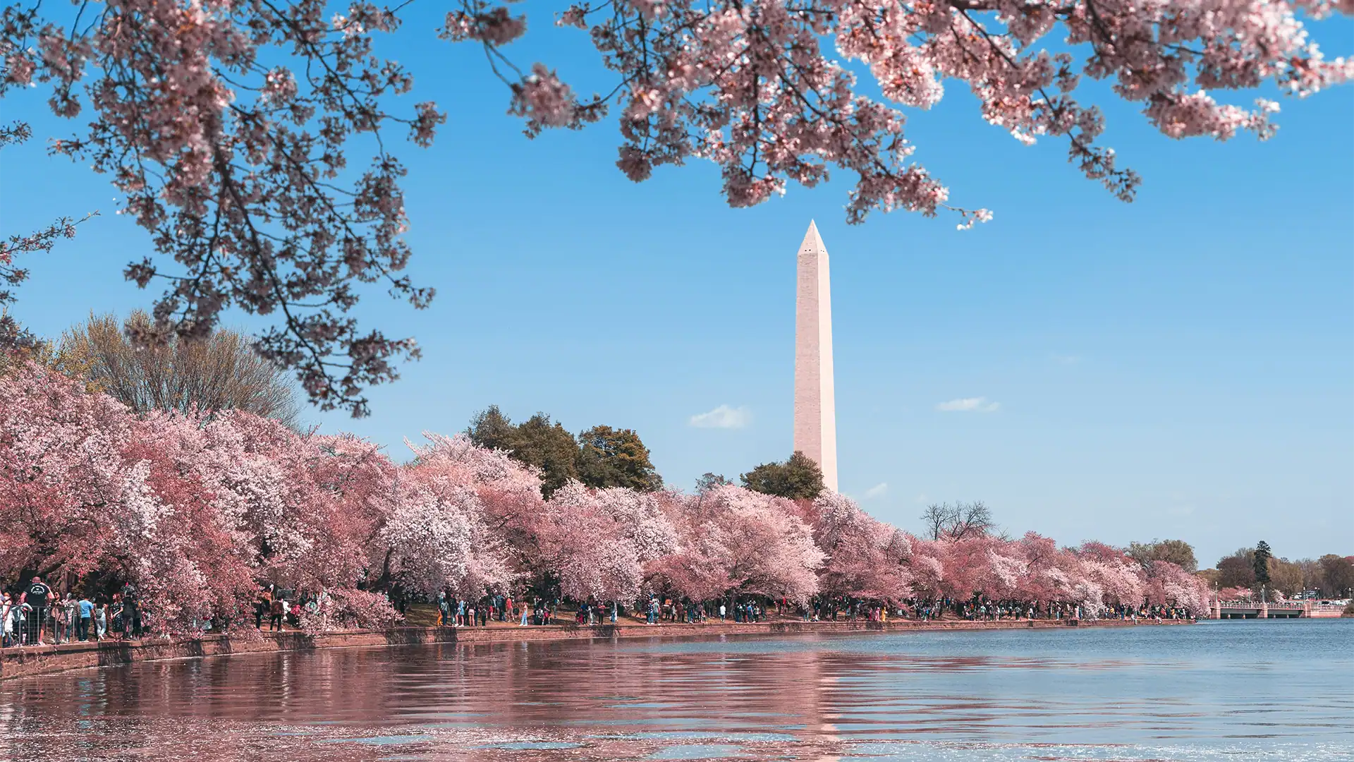 Washington, DC