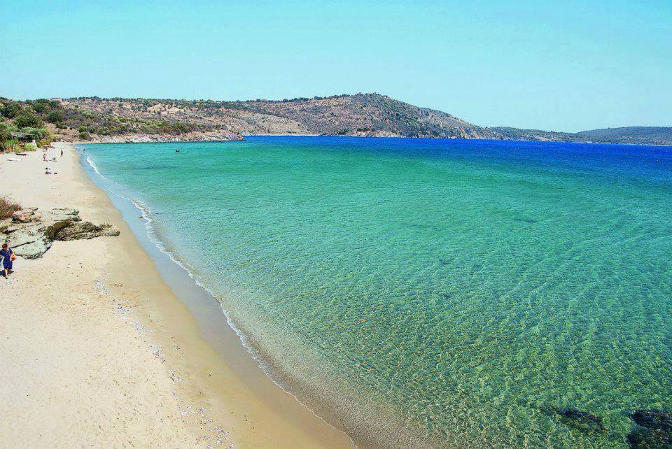 Κτήμα Παπακωνσταντή | Ενοικιαζόμενα Διαμερίσματα Στο Σκουτάρι Λακωνίας