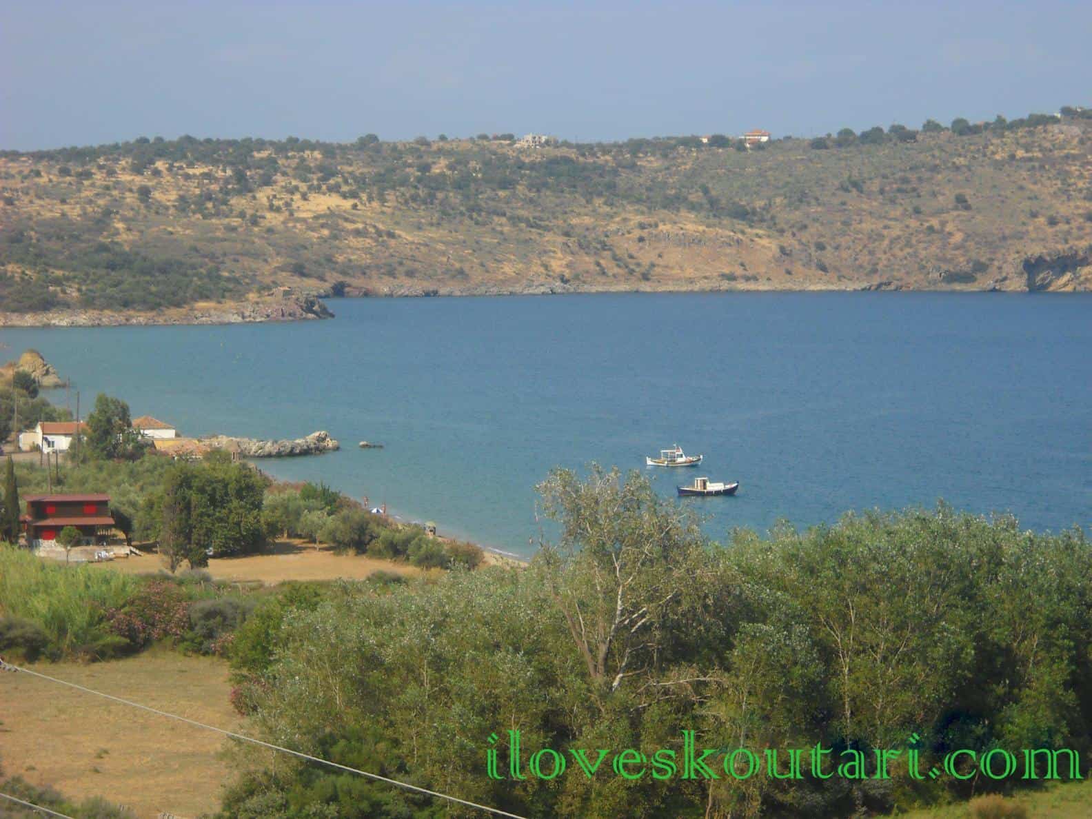 Κτήμα Παπακωνσταντή | Ενοικιαζόμενα Διαμερίσματα Στο Σκουτάρι Λακωνίας