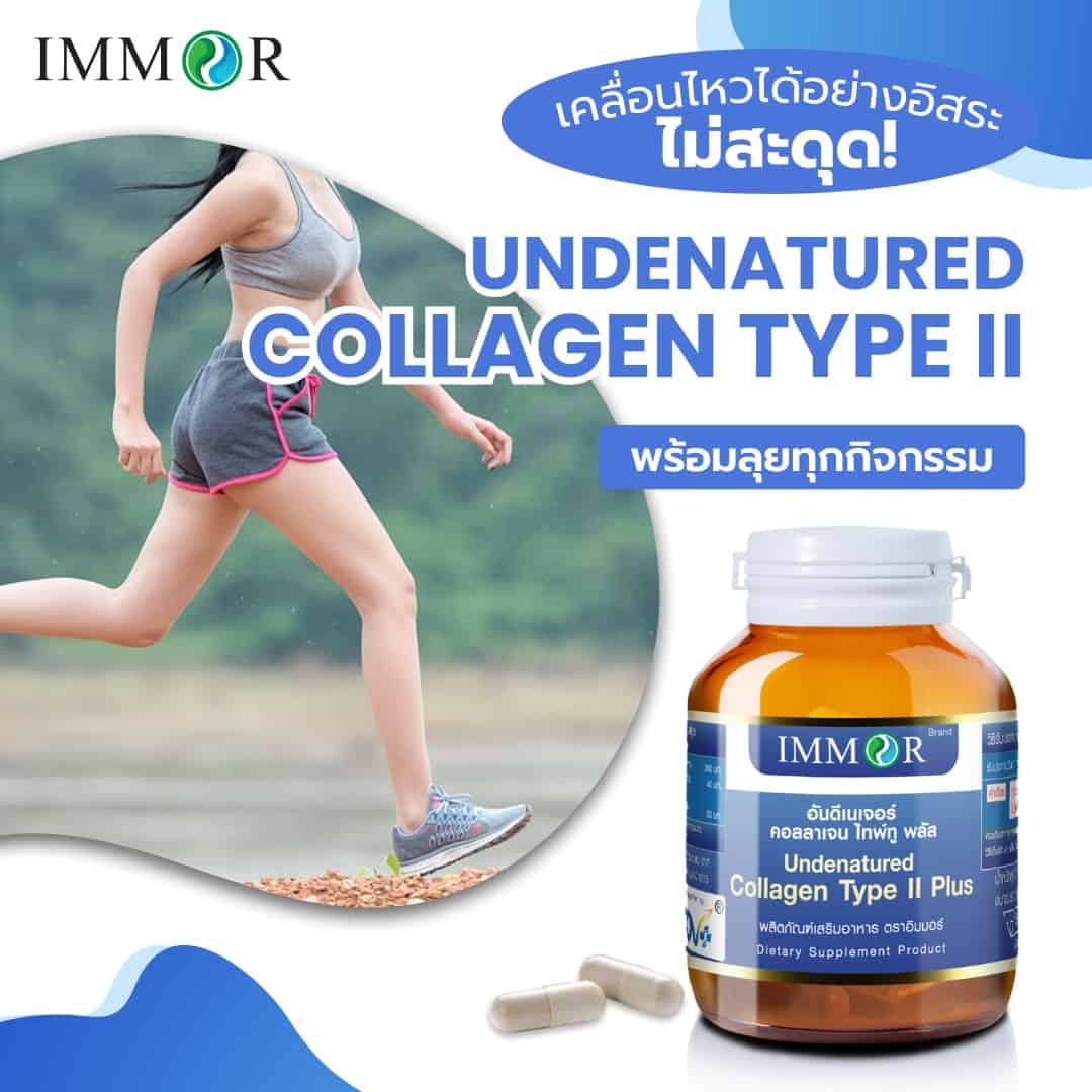 Undenatured Collagen Type II เคลื่อนไหวไม่สะดุด
