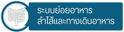 กลุ่มระบบลำไส้และย่อยอาหาร