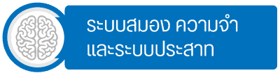กลุ่มสมองความจำ