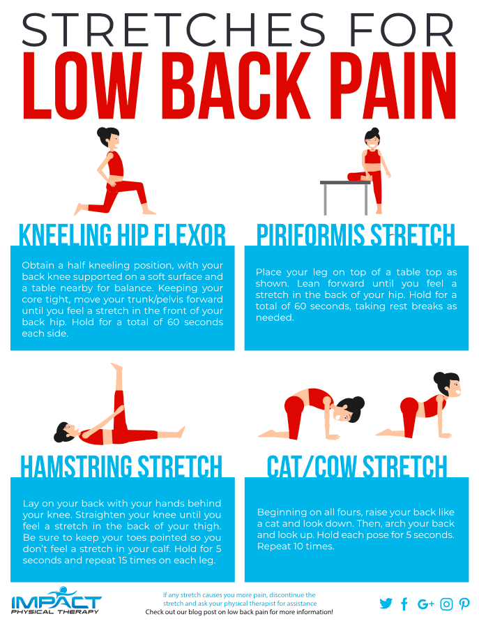 stretches for low back pain