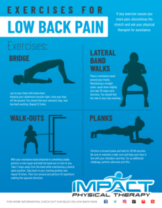 Exercises for Low Back Pain