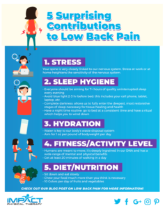 Low Back Pain