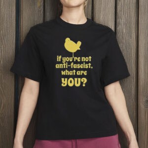 Anti-Fascist Unisex Tee, Anti-Trump Protest Shirt