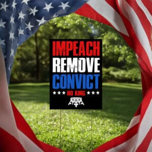 No Kings, Pro-Democracy Political Statement, Impeach Remove Convict Yard Sign