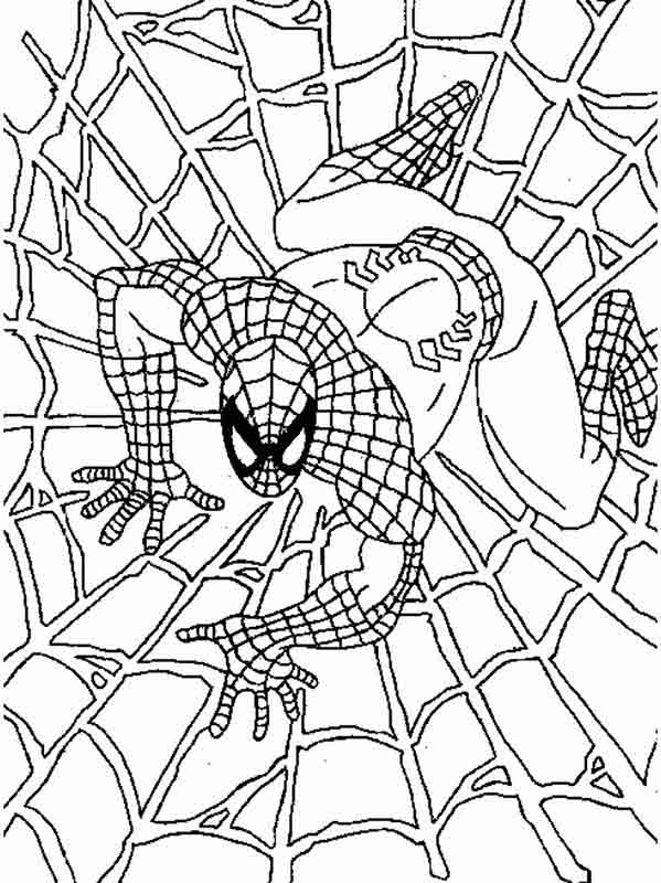 Dibujos de Spiderman