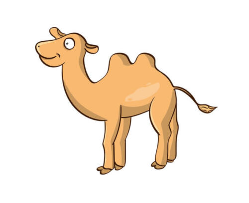 CAMELLOS