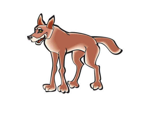 COYOTE