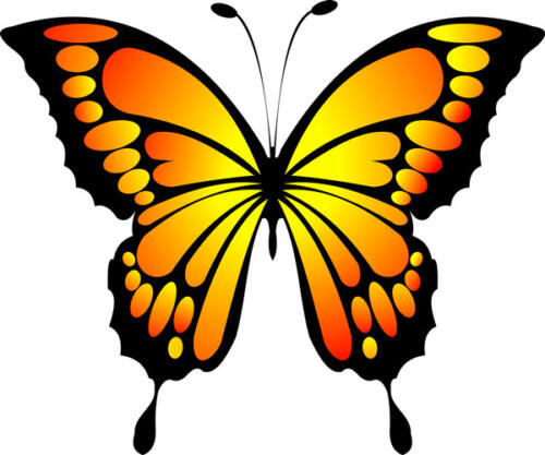 MARIPOSAS
