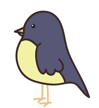 PÁJAROS