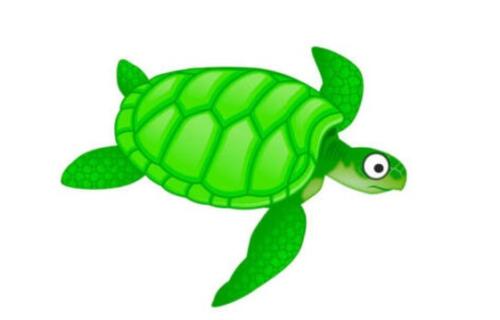 TORTUGAS
