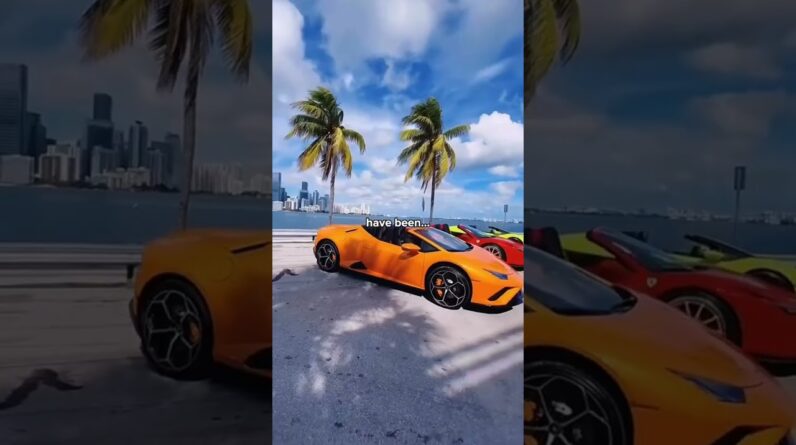 All Winners Have This Mentality