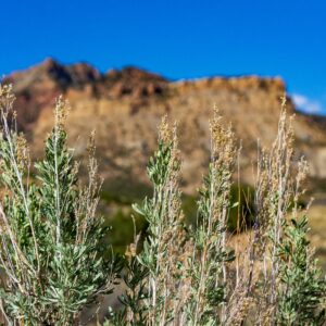 how do you calculate the amount to charge