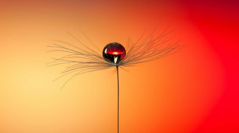 how hard is dropshipping