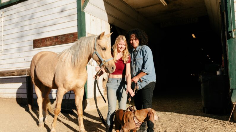 what do you mean by lead scoring