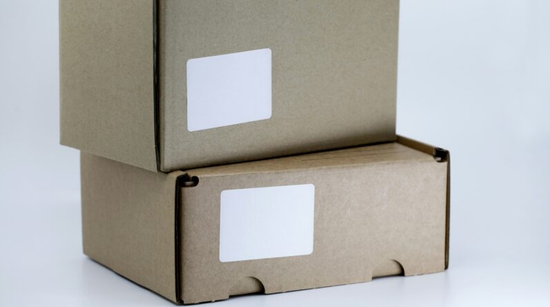 can i be a millionaire from dropshipping