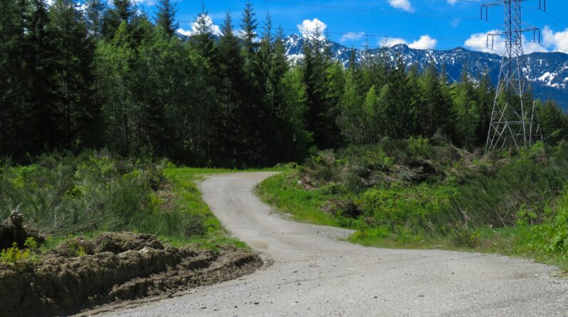 how do you determine how much to charge for an item