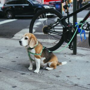 what is an example of lead scoring