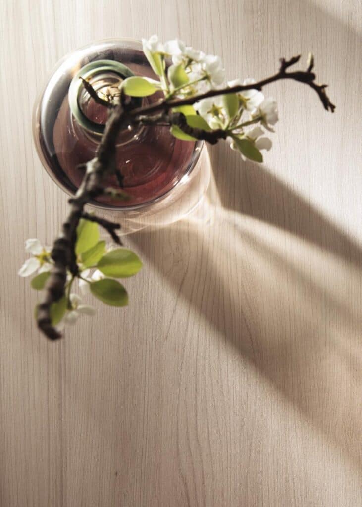 Aerial view of a wooden surface with a glass vase holding a branch of flowers casting a shadow.