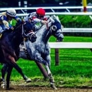 Inter Relocation Sponsors Horse Race, Charity Wins!