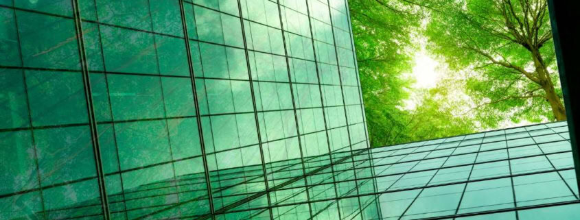 Sustainability in Relocation: Revolutionizing Global Mobility with 10 Dynamic Approaches