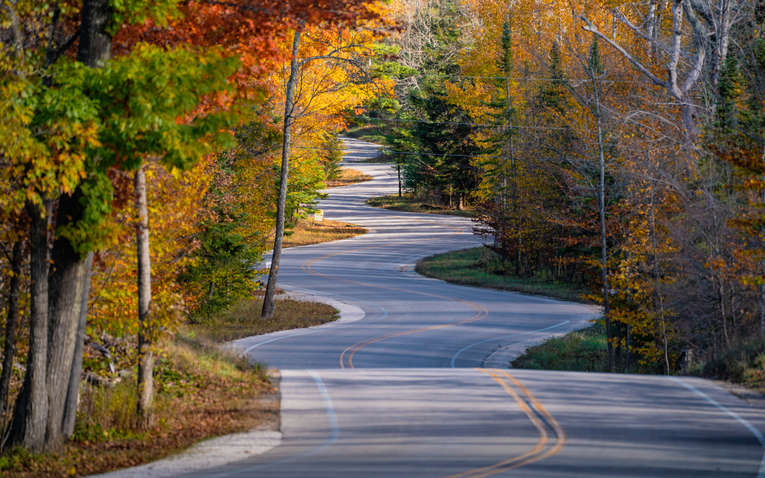 Narrowly winding road with fall-colored trees on either side.