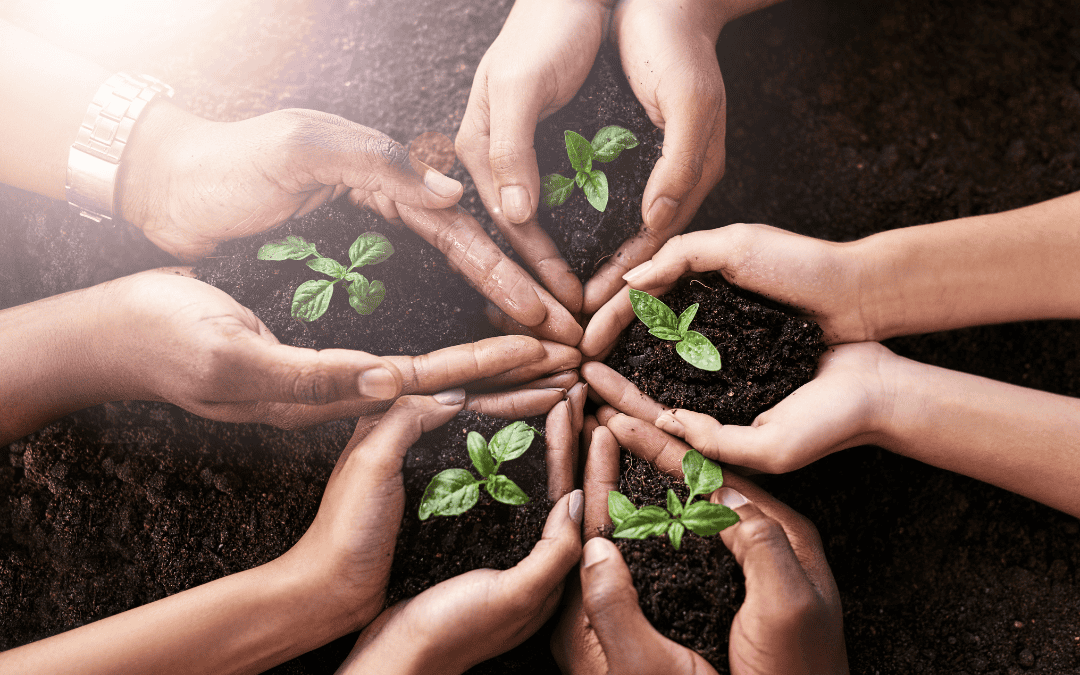 Five sets of hands, each cupping a sprouted plant in soil in a circle.