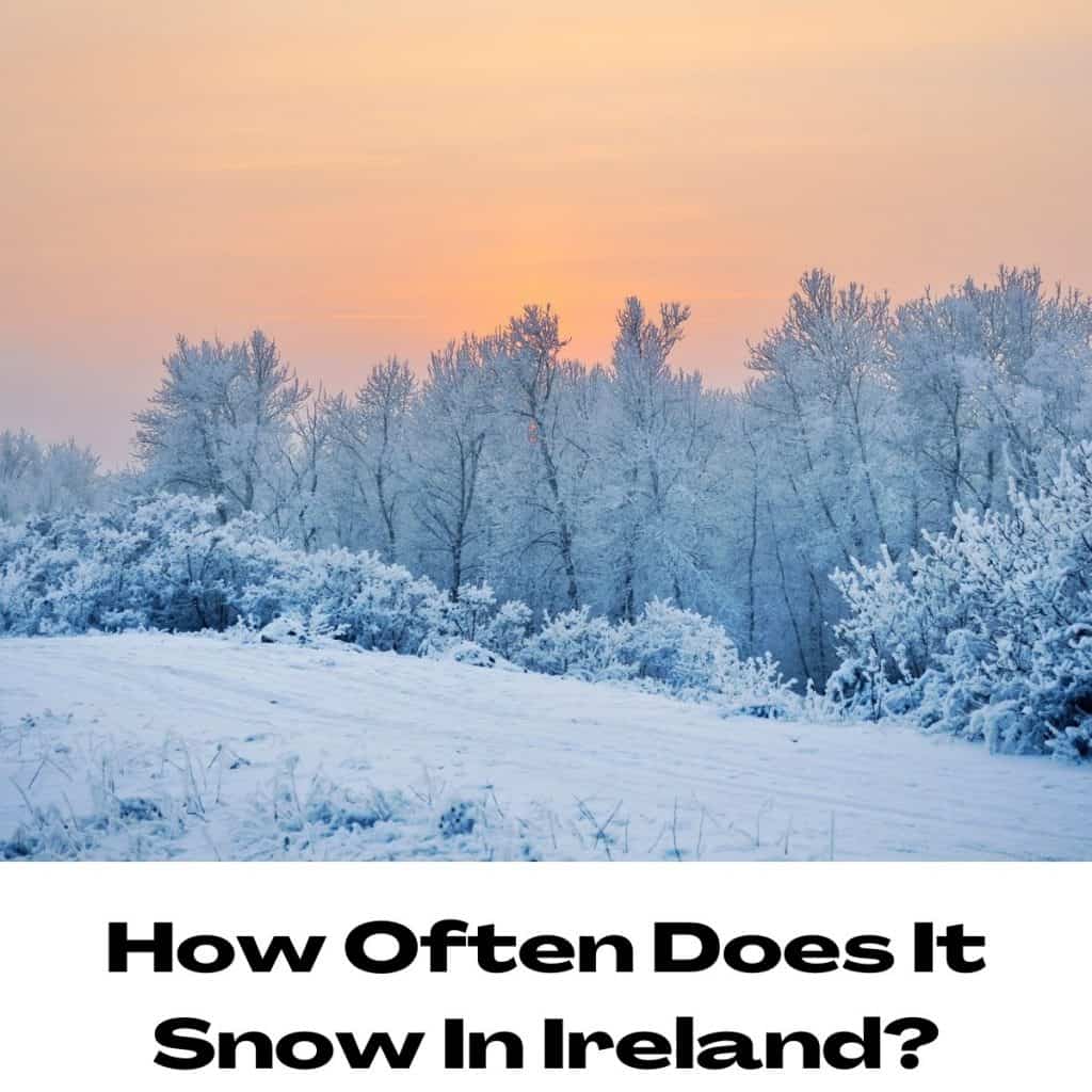 Bright winter landscape in Ireland with snow-covered fields and a leafless tree under a dramatic cloudy sky.