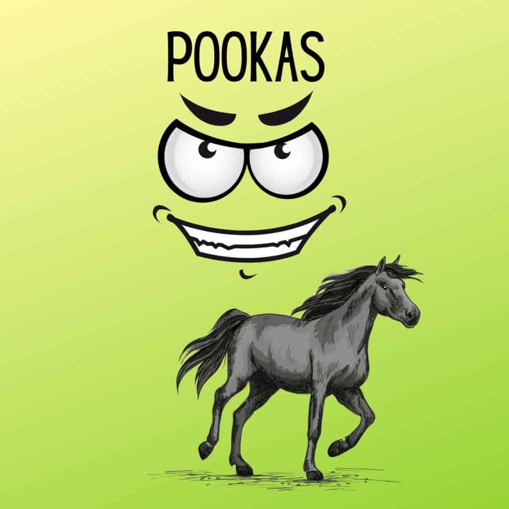 Pookas cartoon face with a gray horse illustration in a vibrant background.