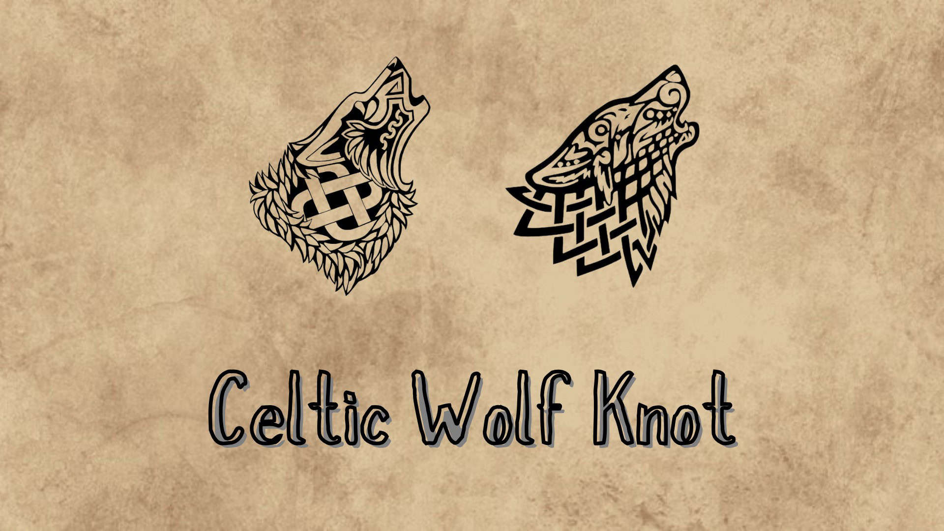 Intricate Celtic wolf knot designs featuring traditional Celtic art and symbolism.