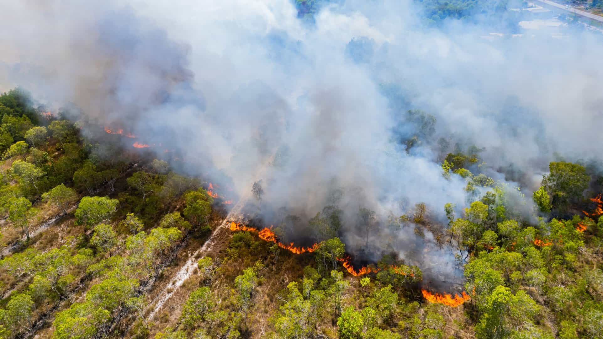 Irish Holidaymakers Told To Stay Alert In Spain And South West France Wildfire Zones