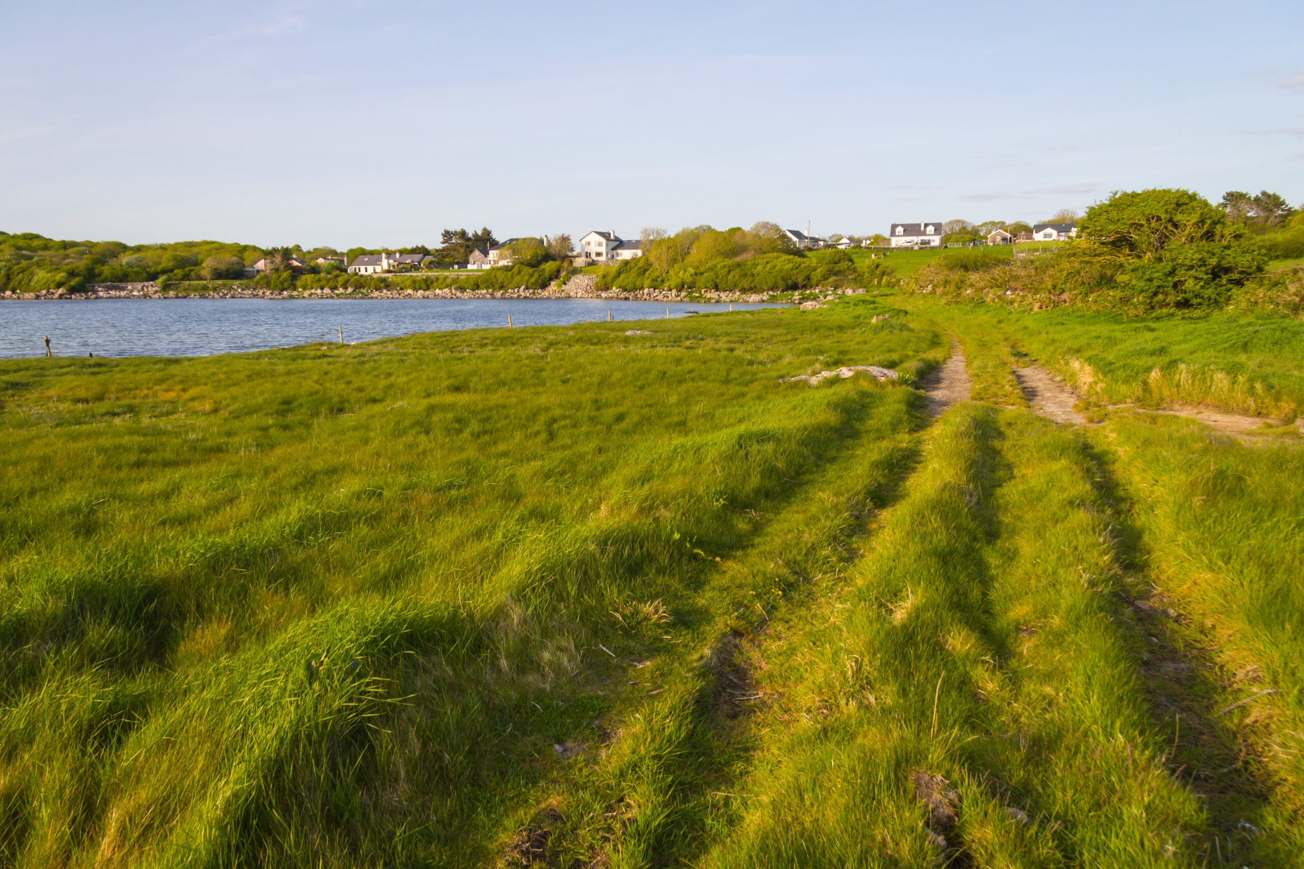 Two Ancient Tombs Turned Up Side By Side In Galway, And Archaeologists Are Paying Attention