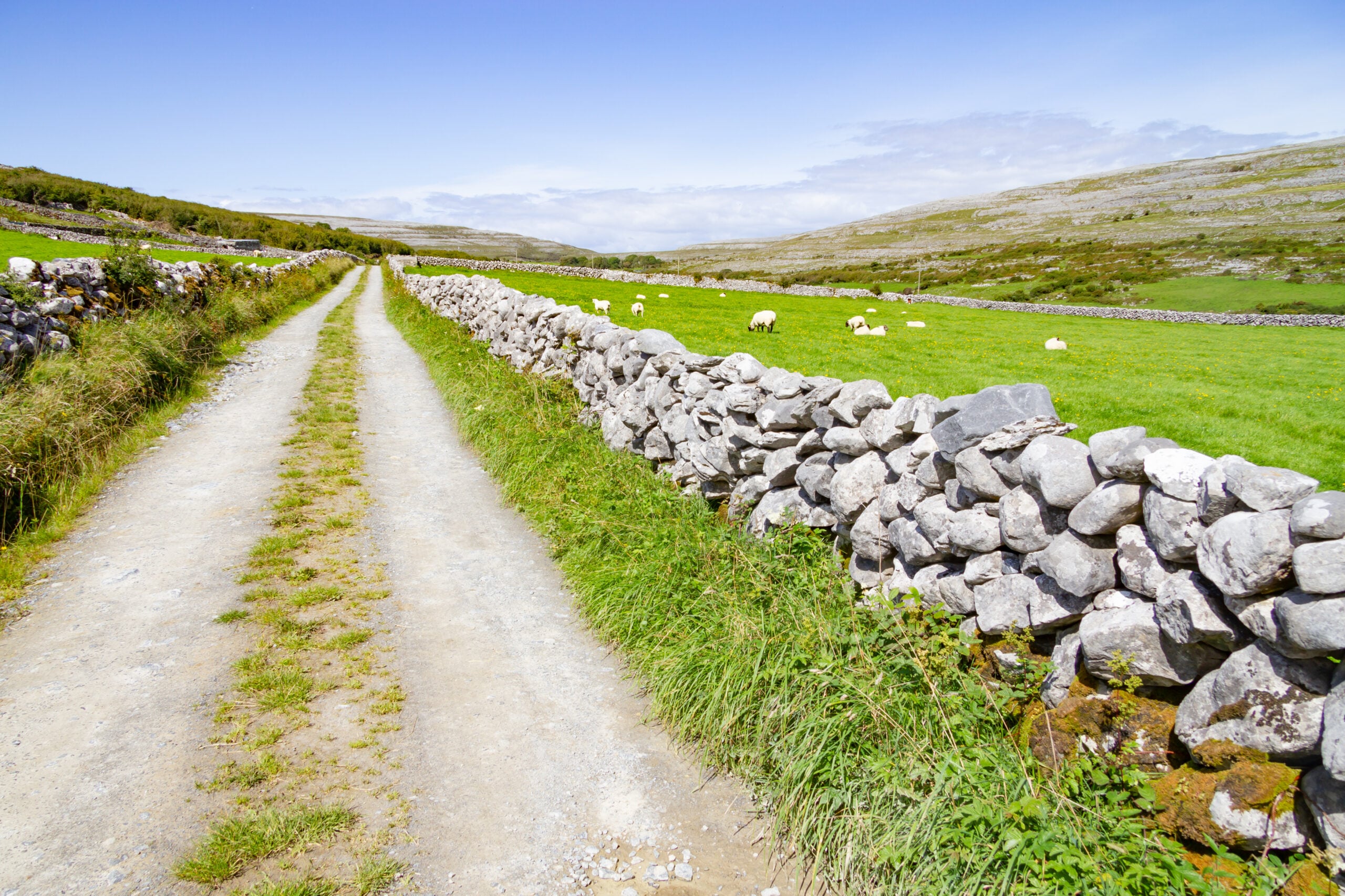 Ballyvaughan Wood Loop: Route Guide, Parking and Walking Tips