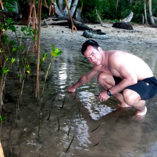 mangrove planting Fiji