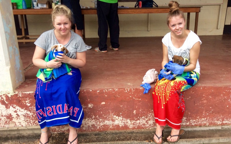 volunteering island spirit fiji