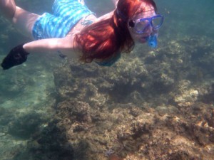 kirsty coral gardening squid
