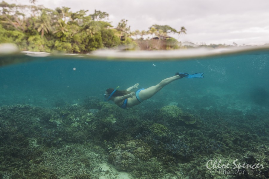 Coral Gardening Island Spirit Volunteering Fiji