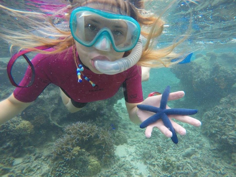 coral gardening sri lanka