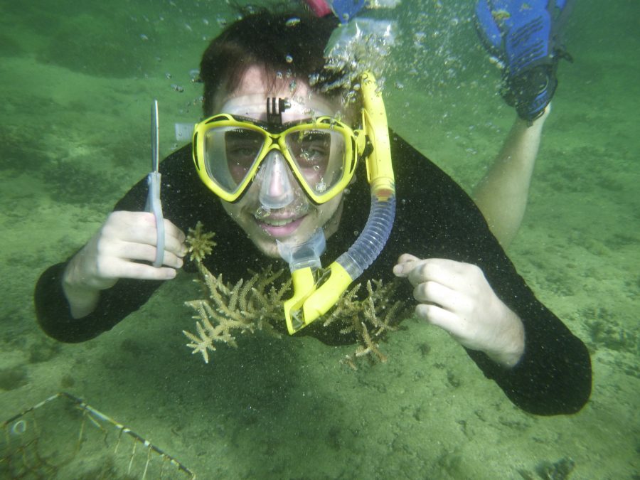 May Coral Gardening Fiji Island Spirit
