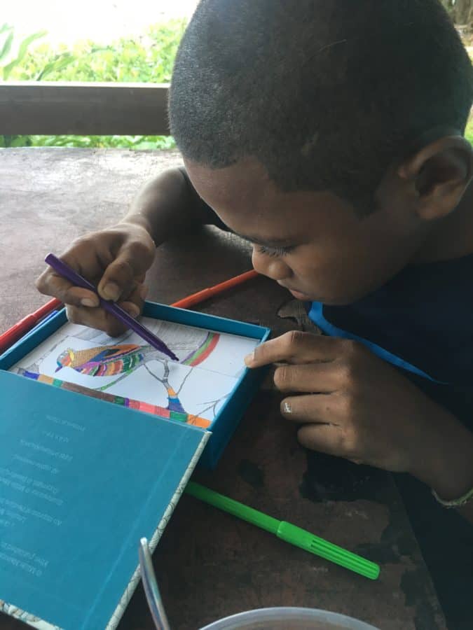 fiji teaching drawing island spirit