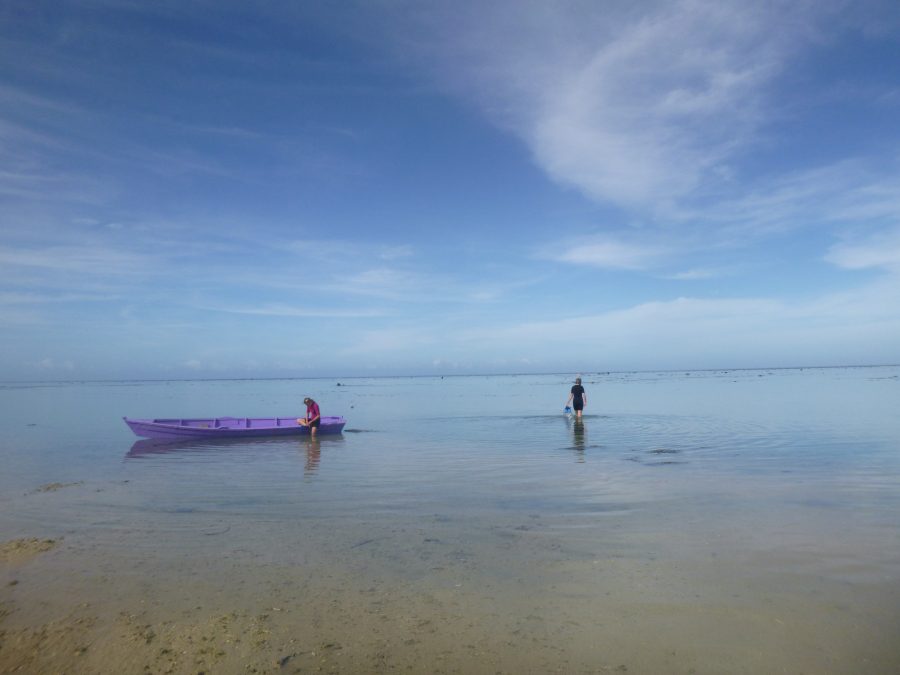 June coral gardening trip 2017 Fiji Island spirit
