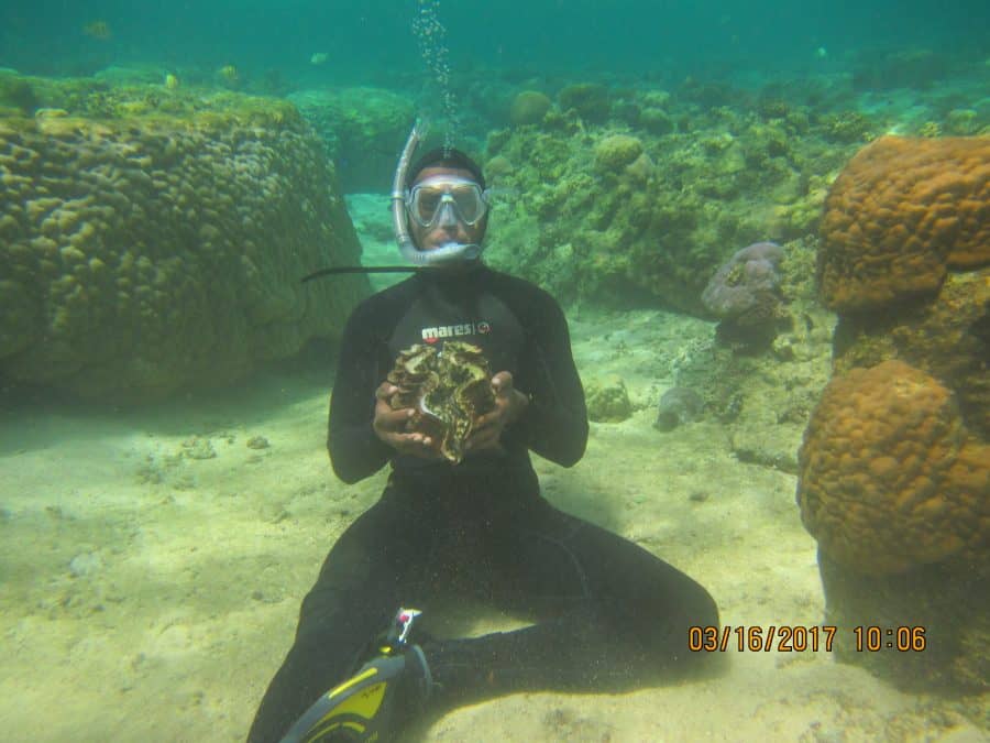 Coral Gardening Fiji Island Spirit 2017