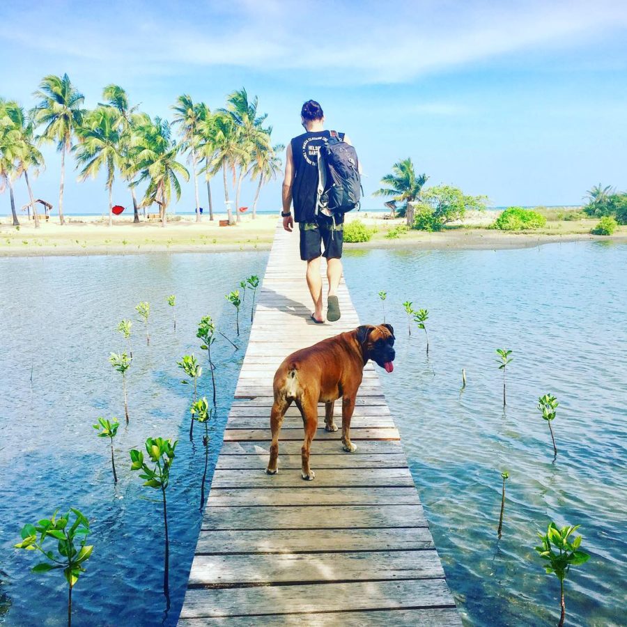 Baby mangroves Island Spirit Kalpitiya Sri Lanka