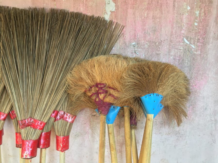 Sri Lankan brooms