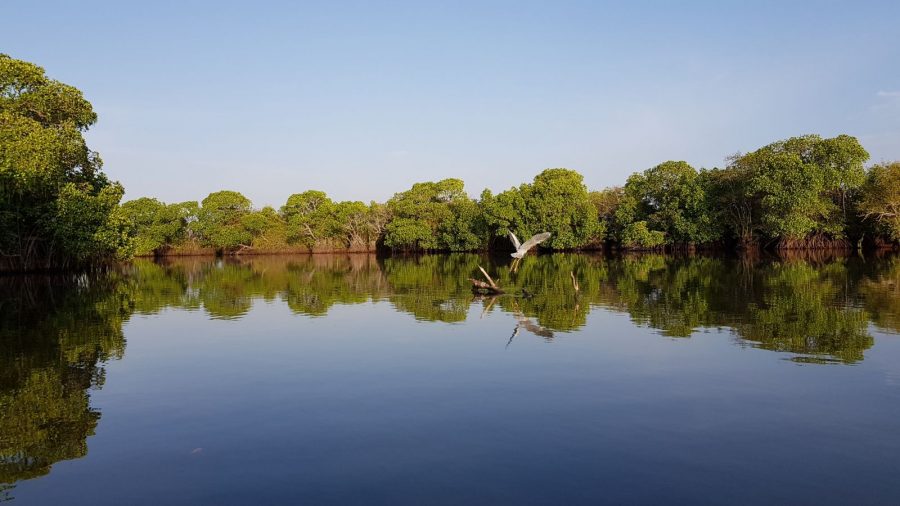 Kottuka Lagoon Pottuvil in SriLanka