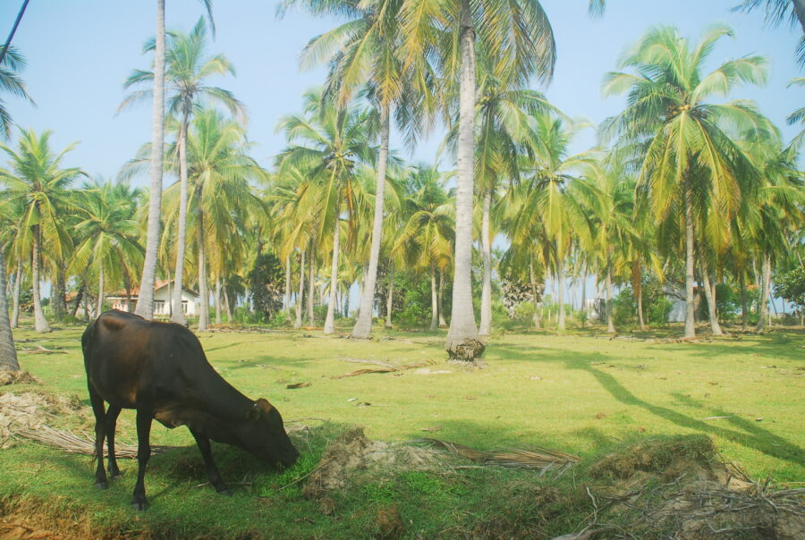 Cycling Kalpitiya Sri Lanka