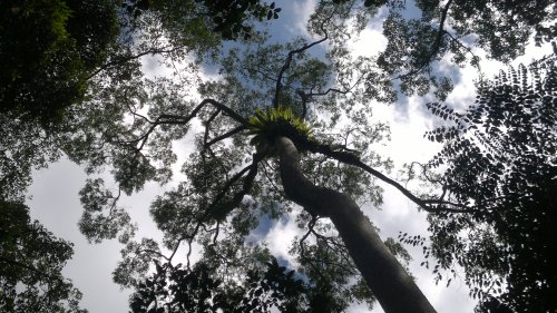 budget hotel hostel sandakan 250520141030